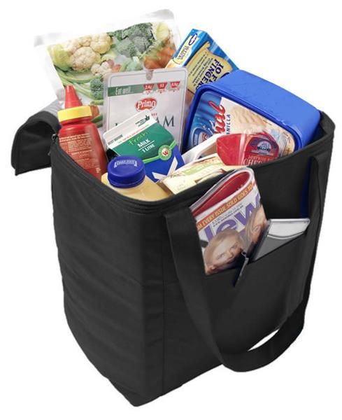 NON-WOVEN COOLER BAG